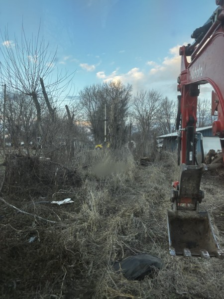 Excavator clearing overgrown brush